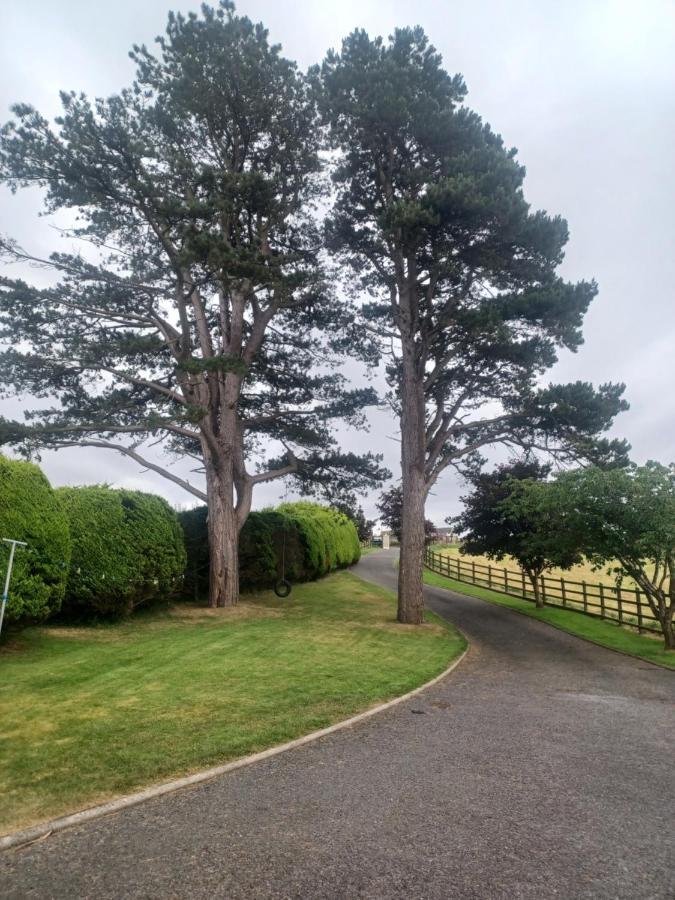Loughview Retreat In The Mournes Lejlighed Newcastle  Eksteriør billede